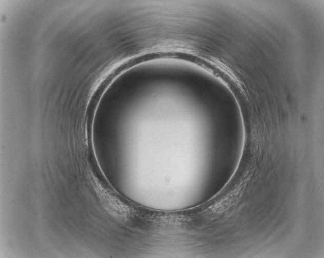 X0000060760934200511141227