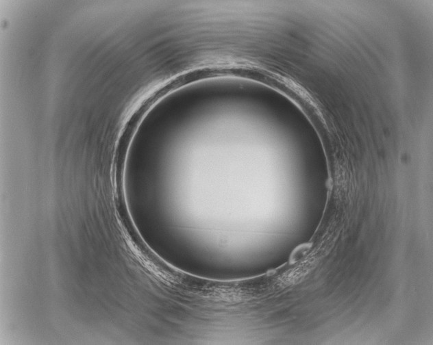 X0000060760935200511141227