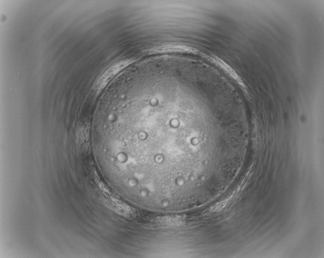 X0000060760937200511141227