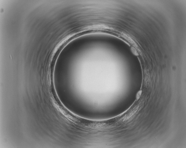 X0000060760939200511141227