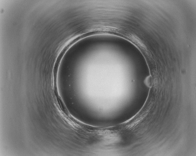 X0000060760940200511141227