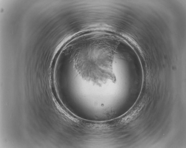 X0000060760941200511141227