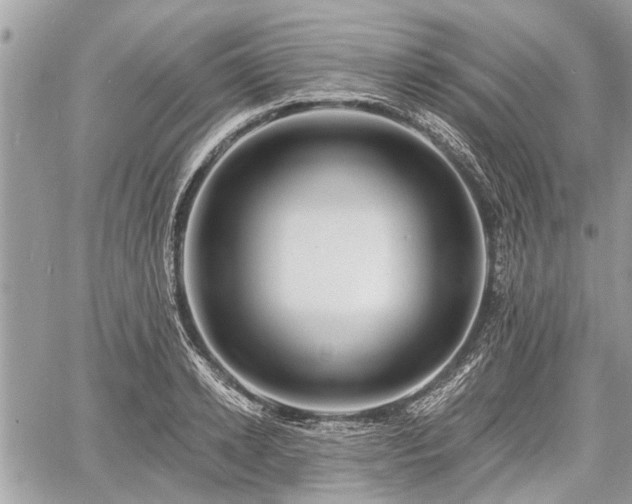 X0000060760942200511141227