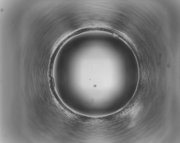 X0000060760943200511141227