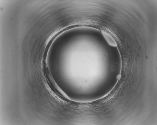 X0000060760944200511141227