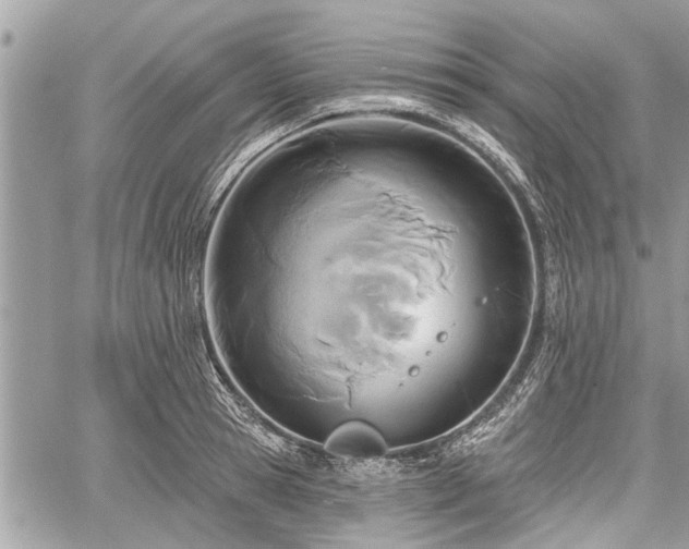 X0000060760945200511141227