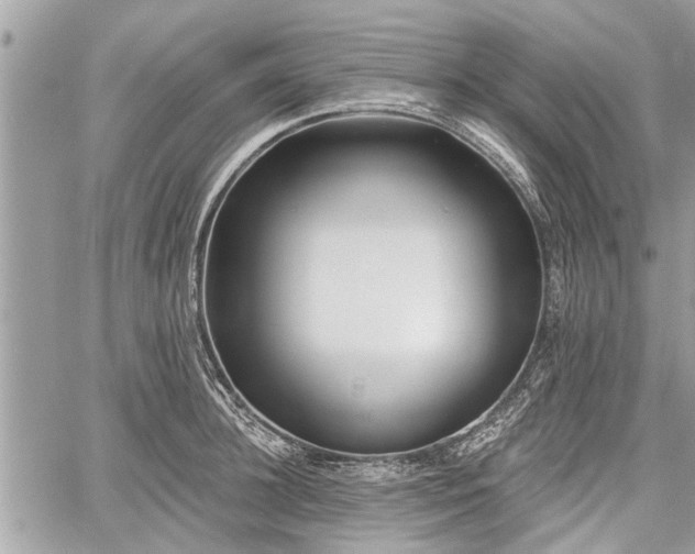 X0000060760948200511141227