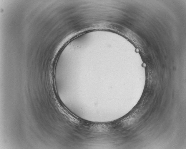 X0000060760950200511141228