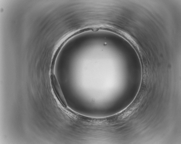 X0000060760951200511141228