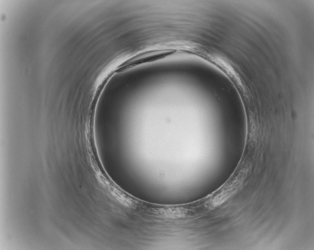 X0000060760952200511141228