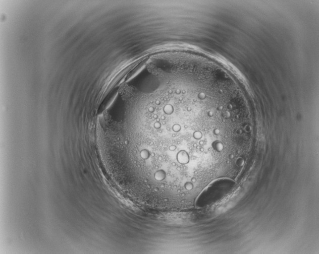 X0000060760953200511141228