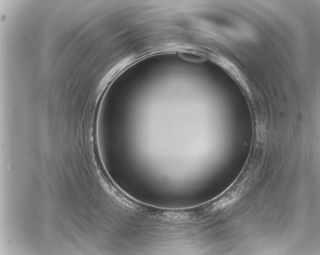 X0000060760954200511141228