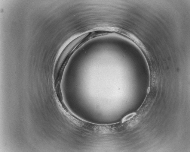 X0000060760955200511141228