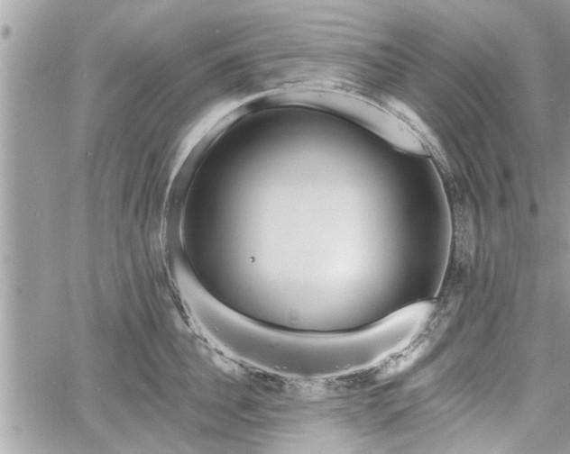 X0000060760956200511141228