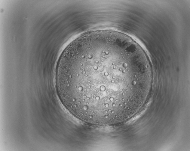 X0000060760957200511141228