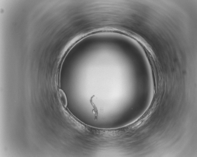 X0000060760958200511141228