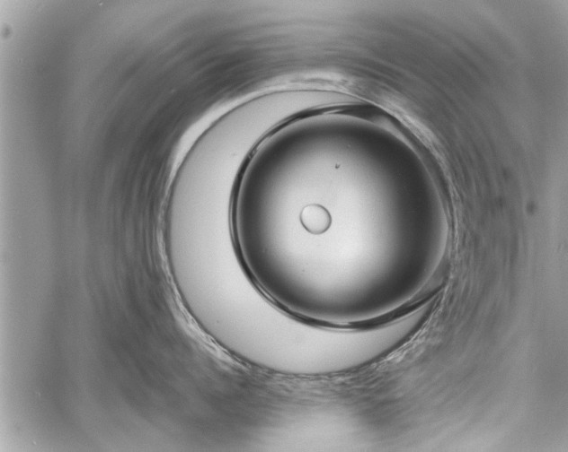 X0000060760960200511141228