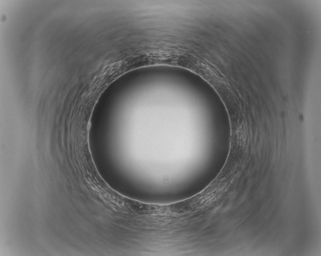 X0000060760961200511141227