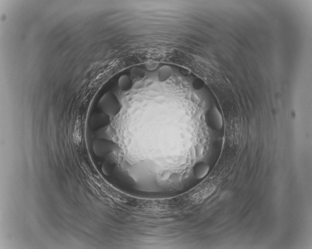 X0000060760962200511141227