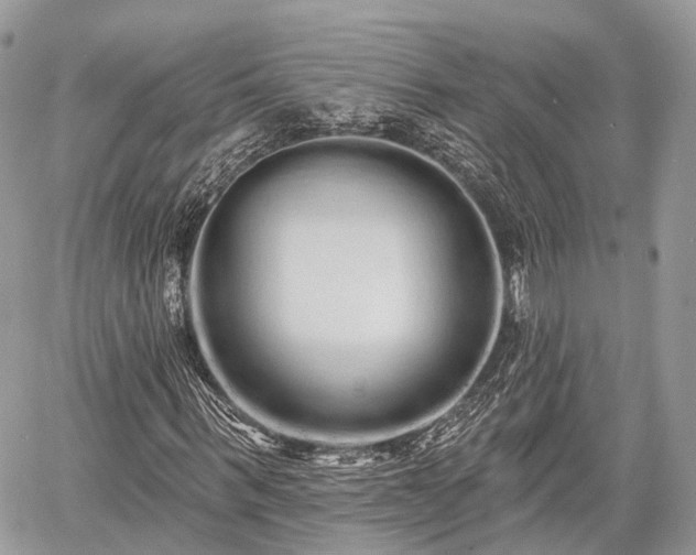 X0000060760963200511141227