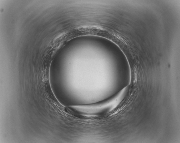 X0000060760965200511141227