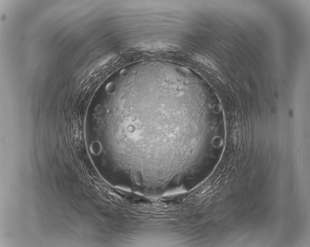 X0000060760966200511141227