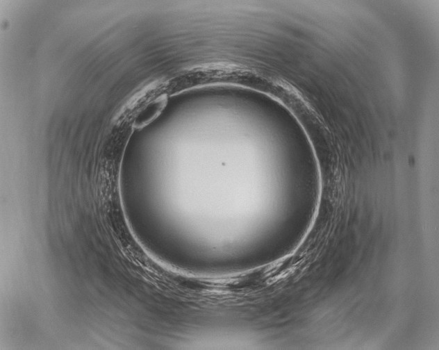 X0000060760967200511141227