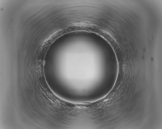 X0000060760968200511141227