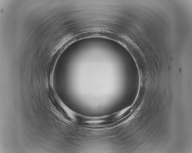 X0000060760969200511141227