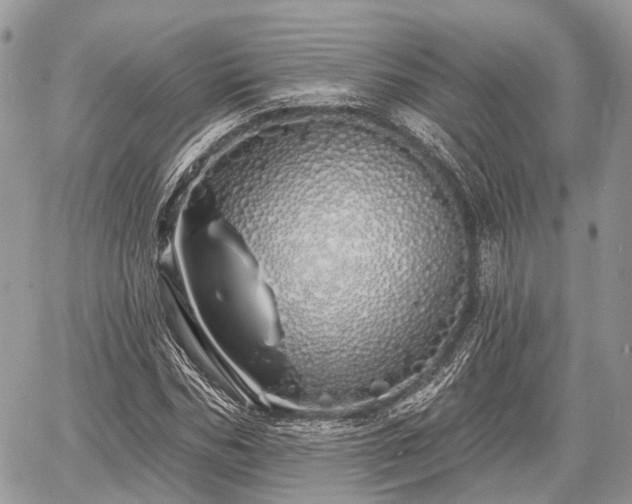 X0000060760970200511141227