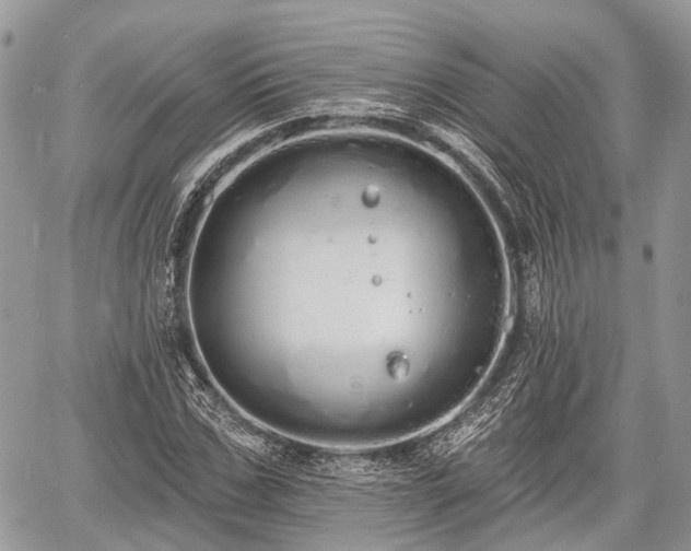 X0000060760971200511141227