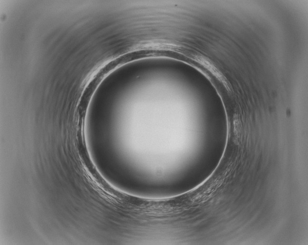 X0000060760972200511141227