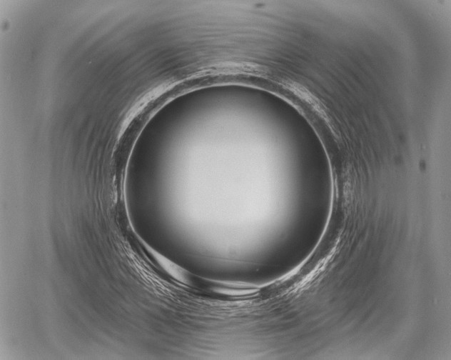 X0000060760973200511141227