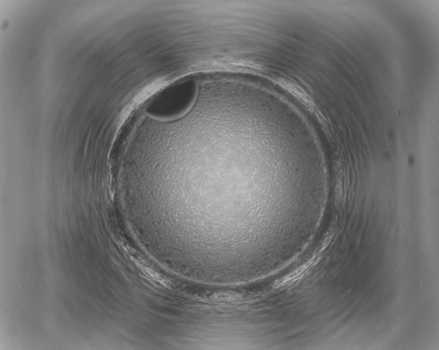 X0000060760974200511141227