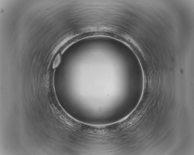 X0000060760975200511141227