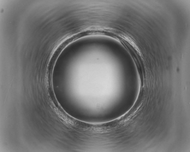 X0000060760976200511141227