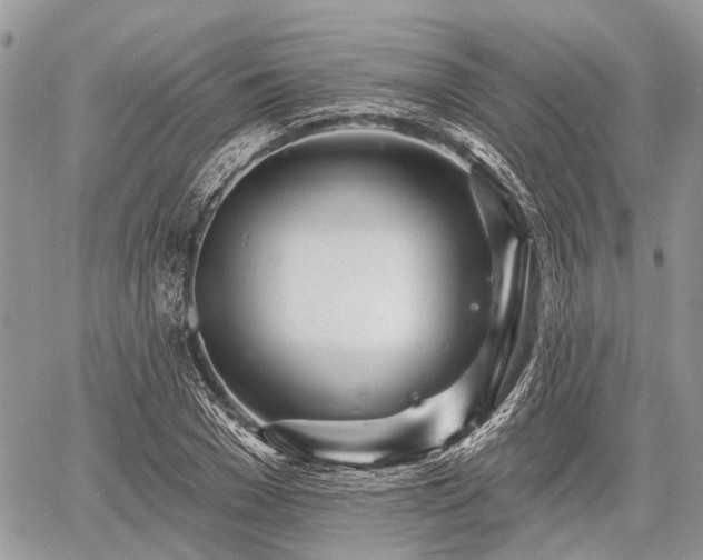 X0000060760977200511141227