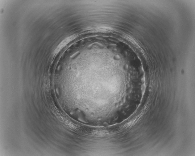 X0000060760978200511141227