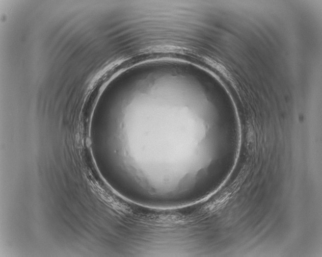 X0000060760979200511141227