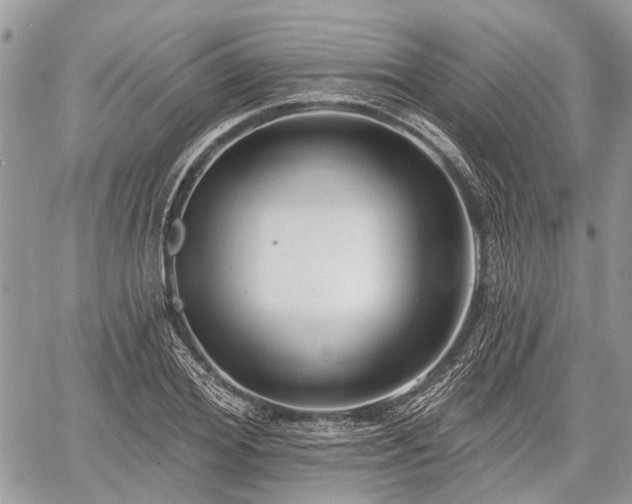 X0000060760980200511141227