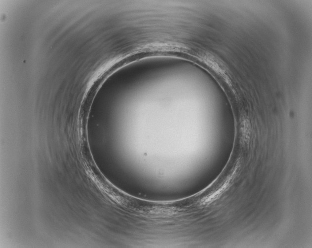 X0000060760981200511141227