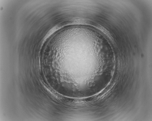 X0000060760982200511141227