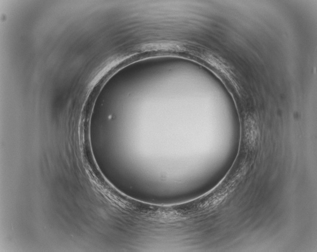 X0000060760983200511141227