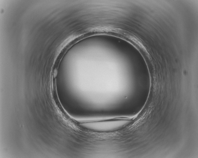 X0000060760984200511141227