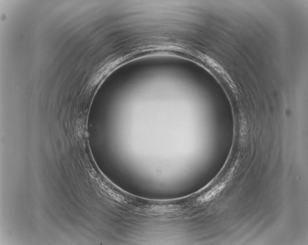 X0000060760985200511141226