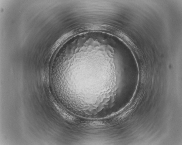 X0000060760986200511141226