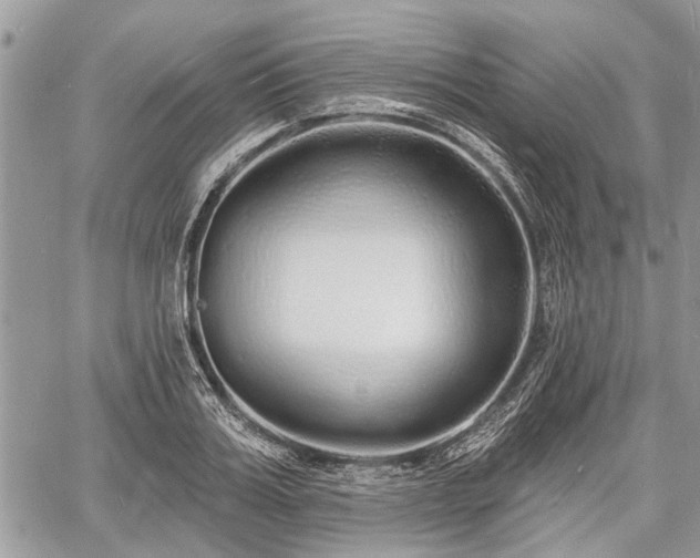 X0000060760987200511141226