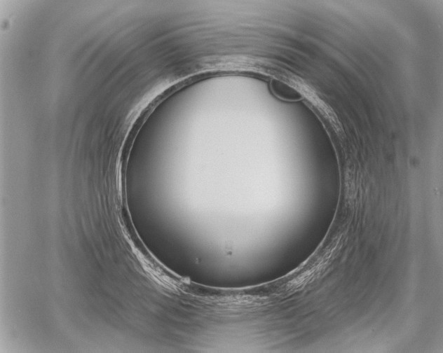 X0000060760988200511141226