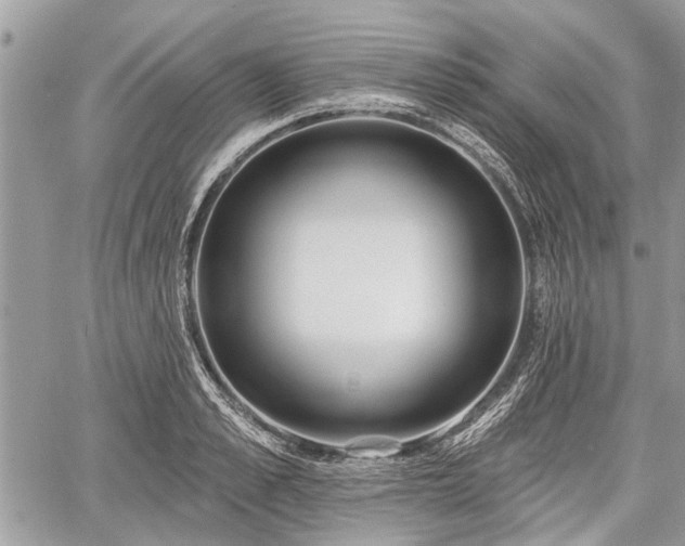 X0000060760989200511141226