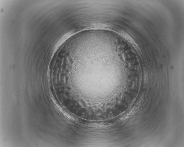 X0000060760990200511141226